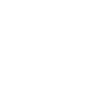 SOCIAL-ICO-White_whatsapp